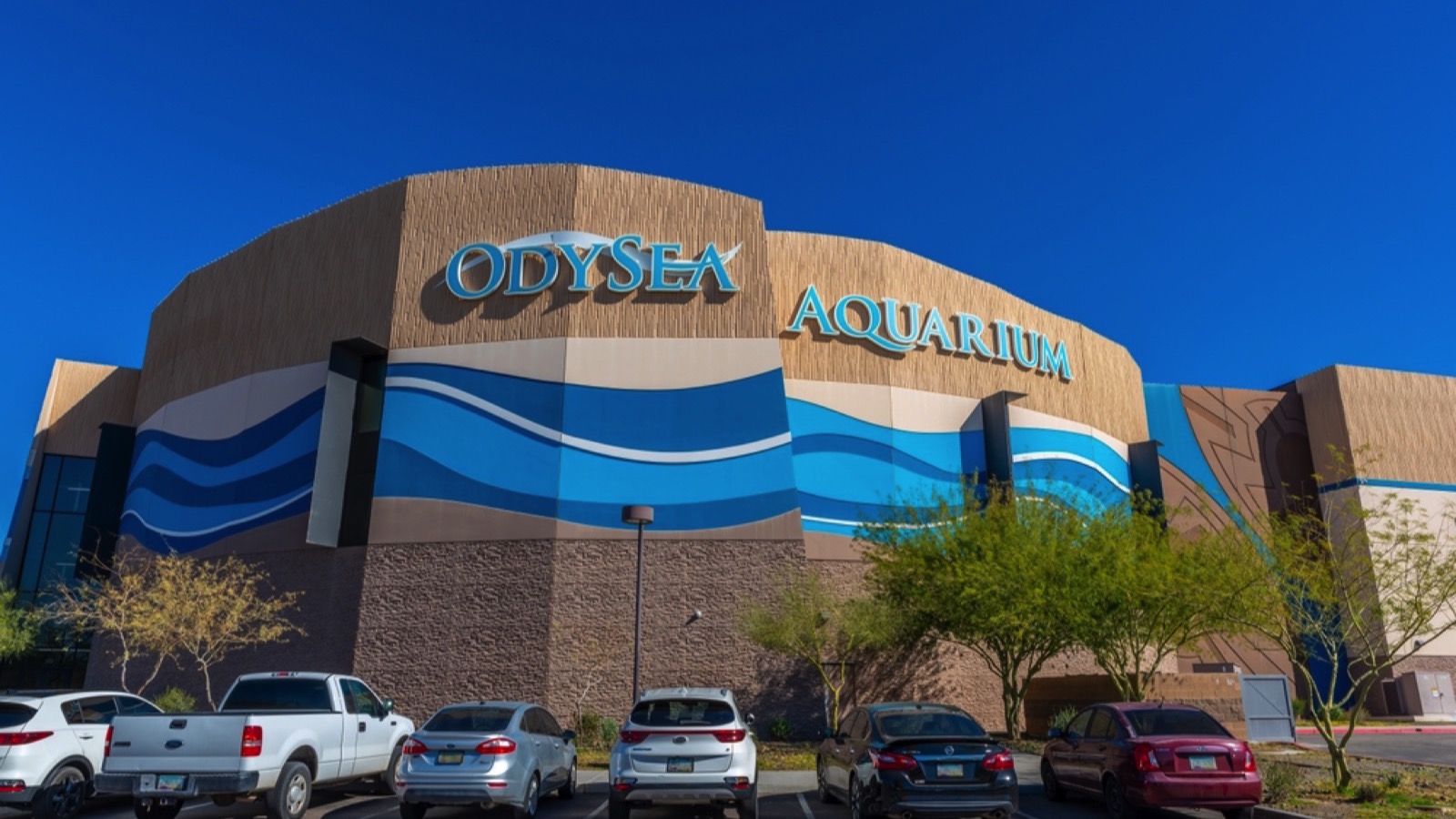 OdySea Aquarium