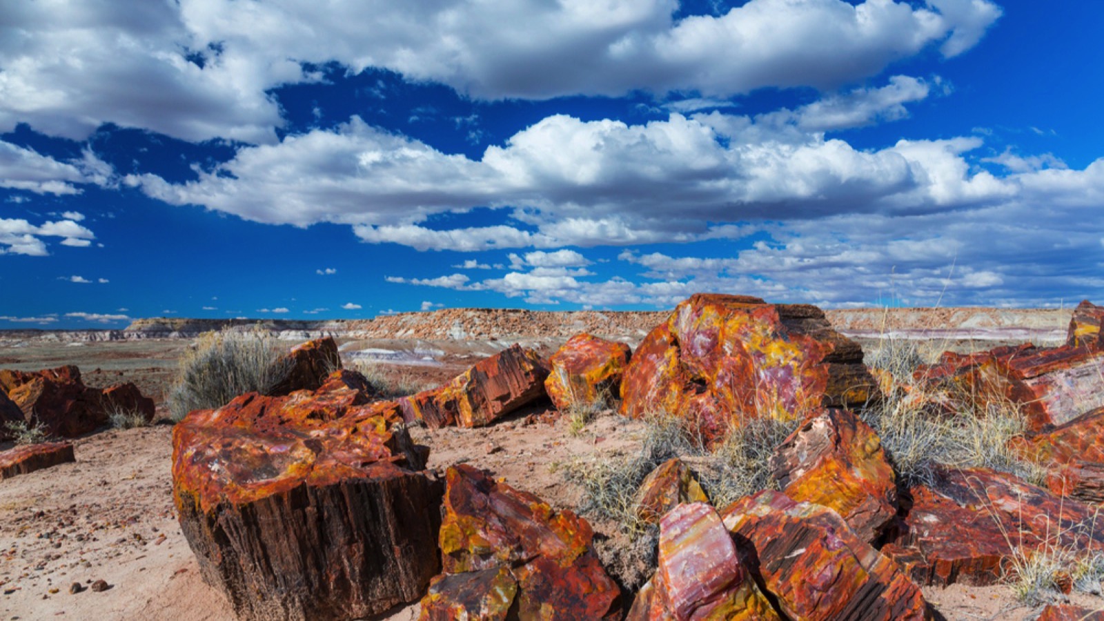Petrified Forest National Park, Arizona