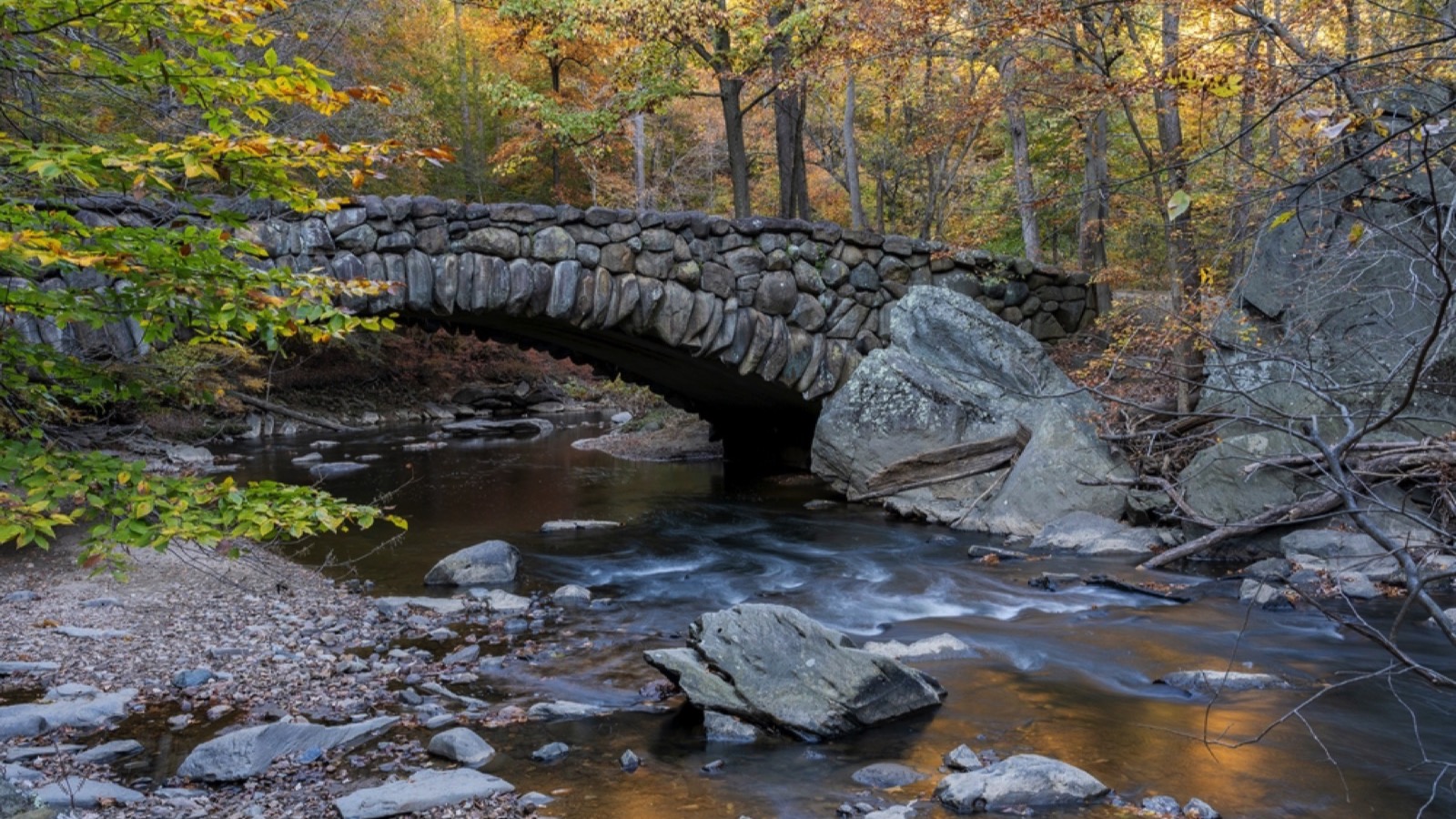 Rock Creek Park