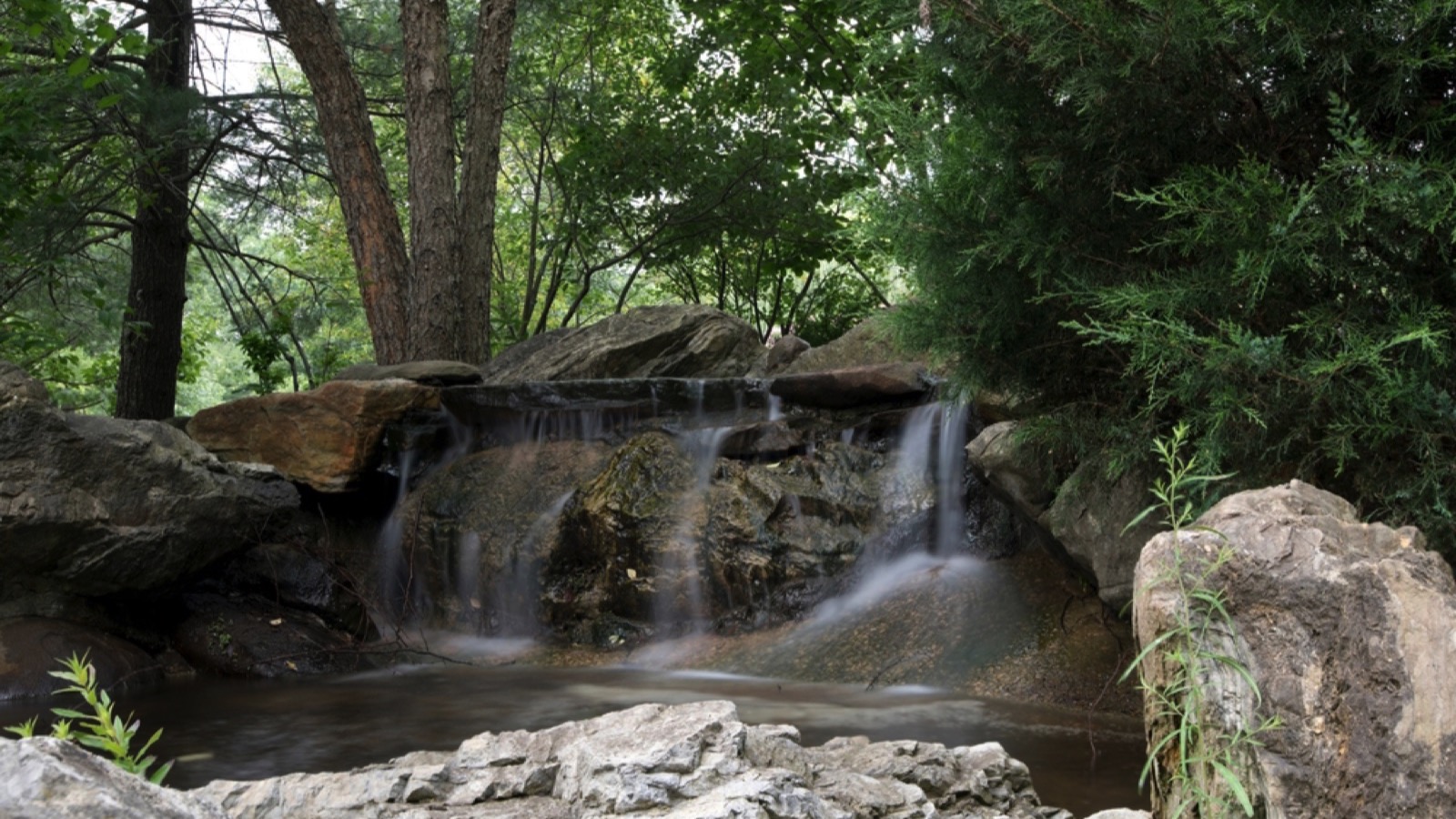 Sayen House &amp; Gardens