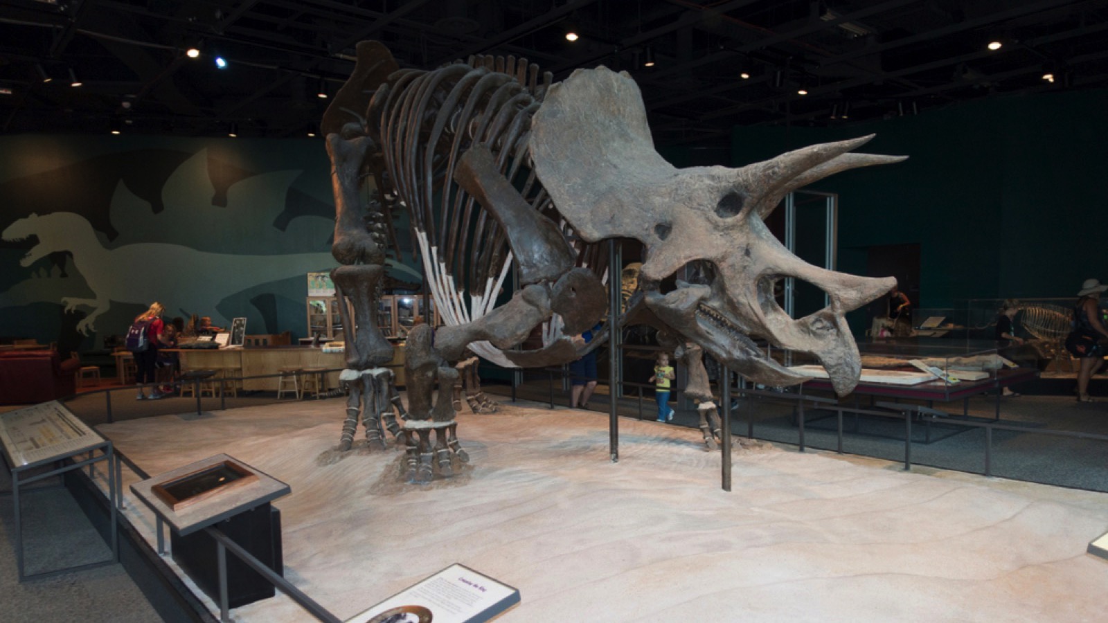Science Museum of Minnesota, St Paul, Minnesota