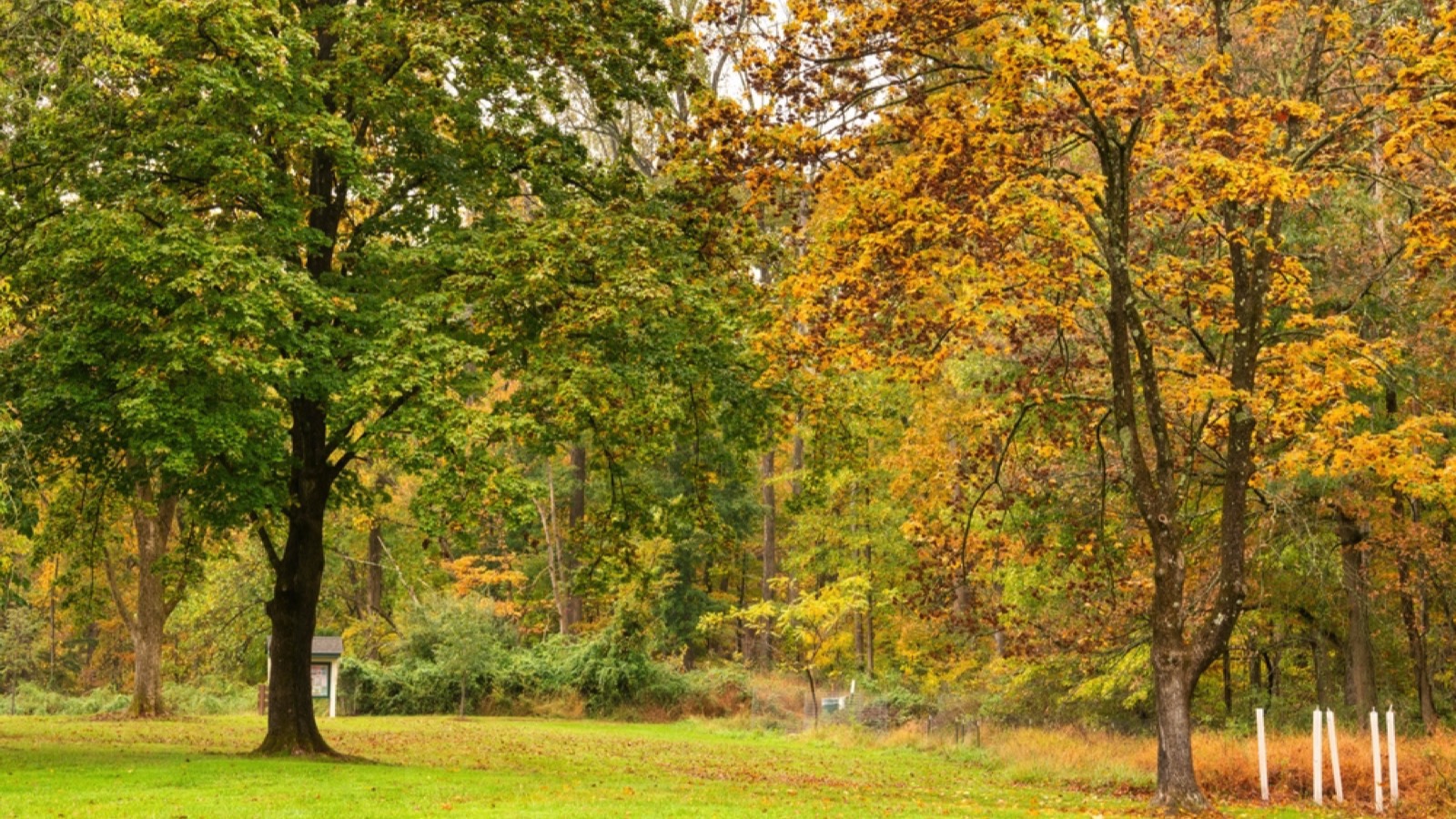 Sourlands Mountain Preserve