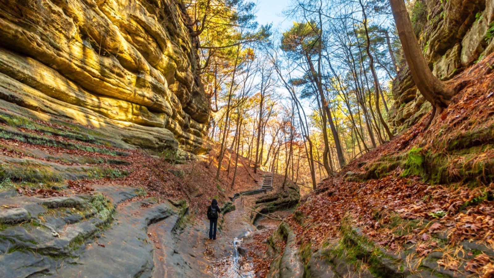 Starved Rock State Park