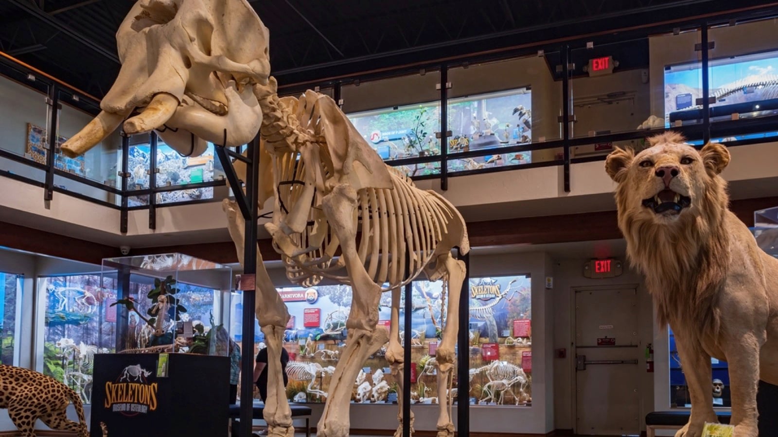 The Museum of Osteology, Oklahoma