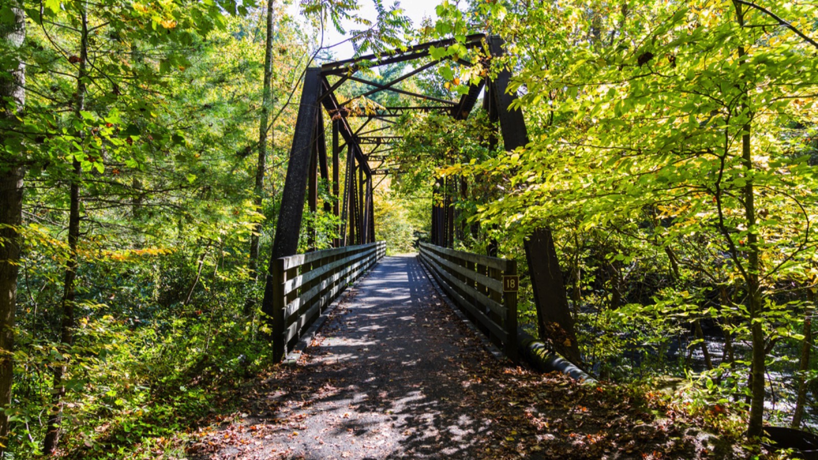The Virginia Creeper Trail