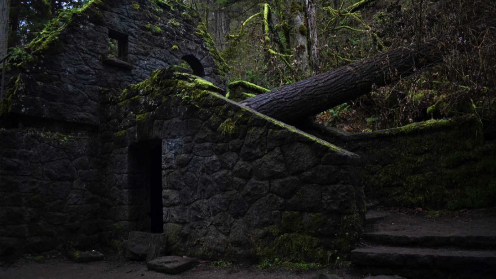 The Witch's Castle in Portland, Oregon