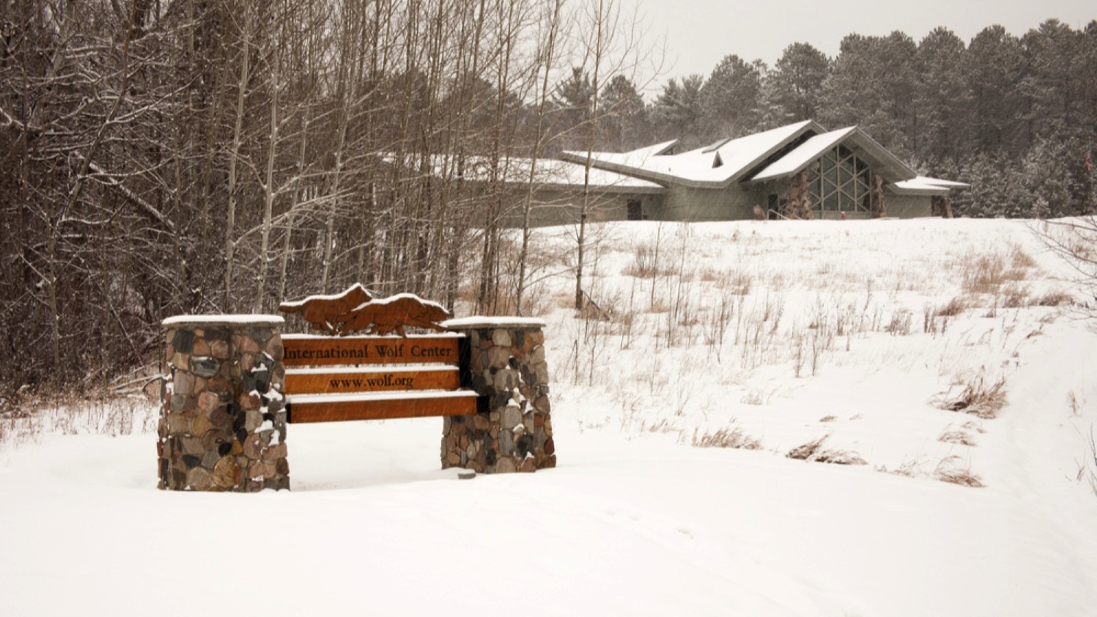 The Wolf Center in Ely