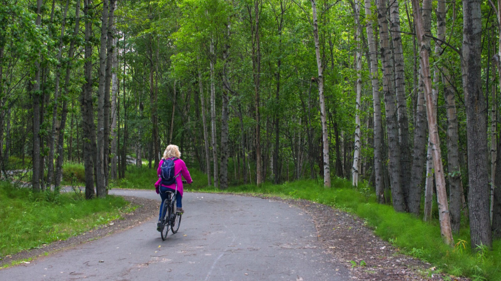 Tony Knowles Trail