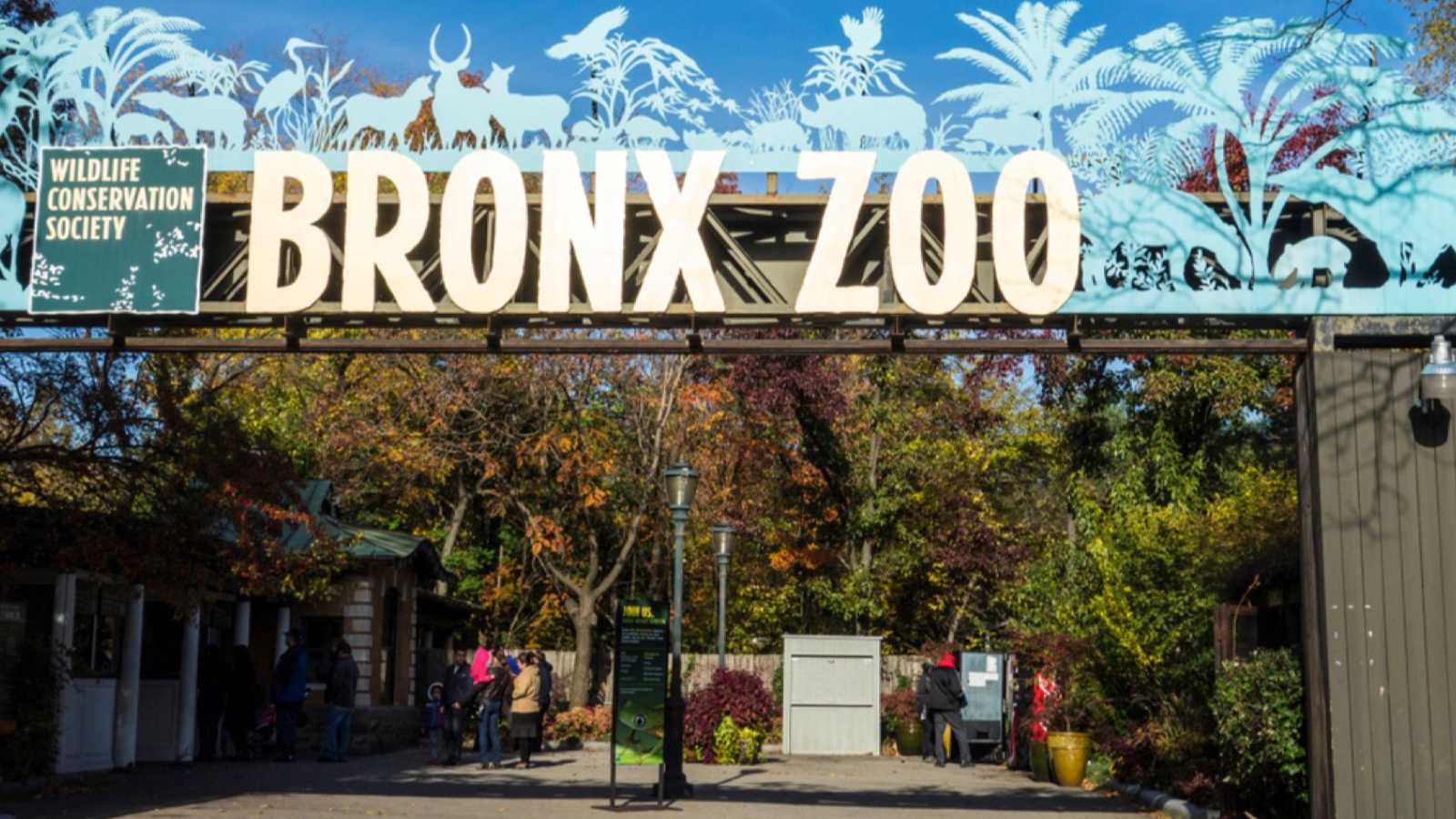 Bronx Zoo