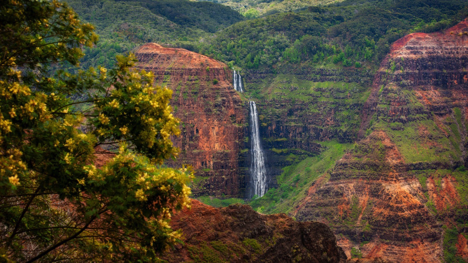Waipo'o Falls, Waimea Canyon, Kauai, Hawaii