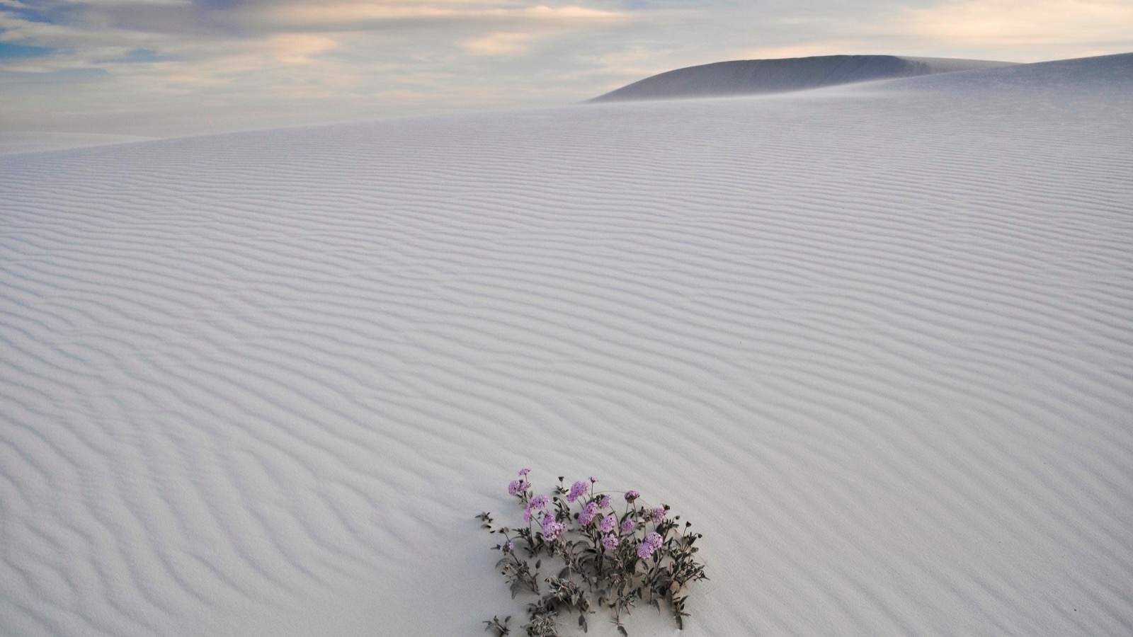 White Sands National Monument