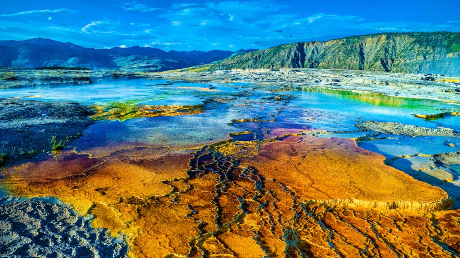 Yellowstone National Park