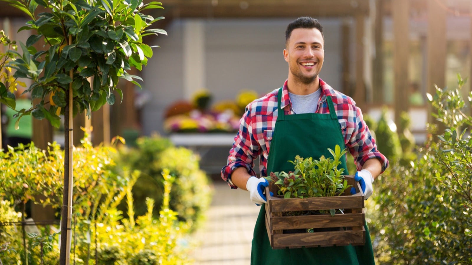 Man working in garden centre