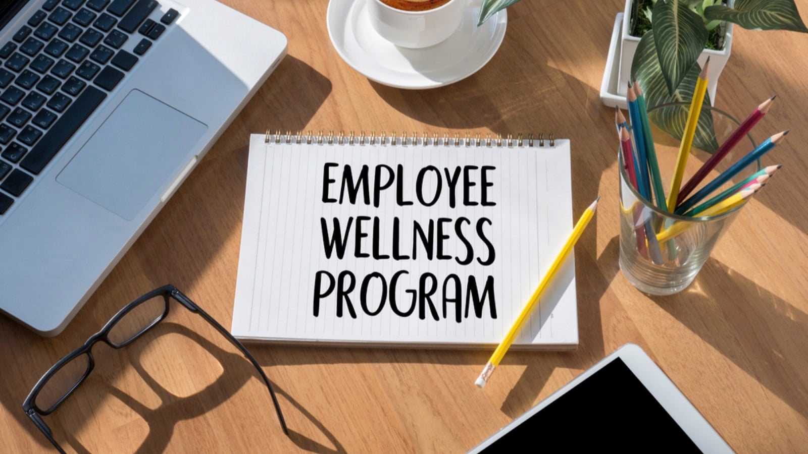 Employee Wellness Program