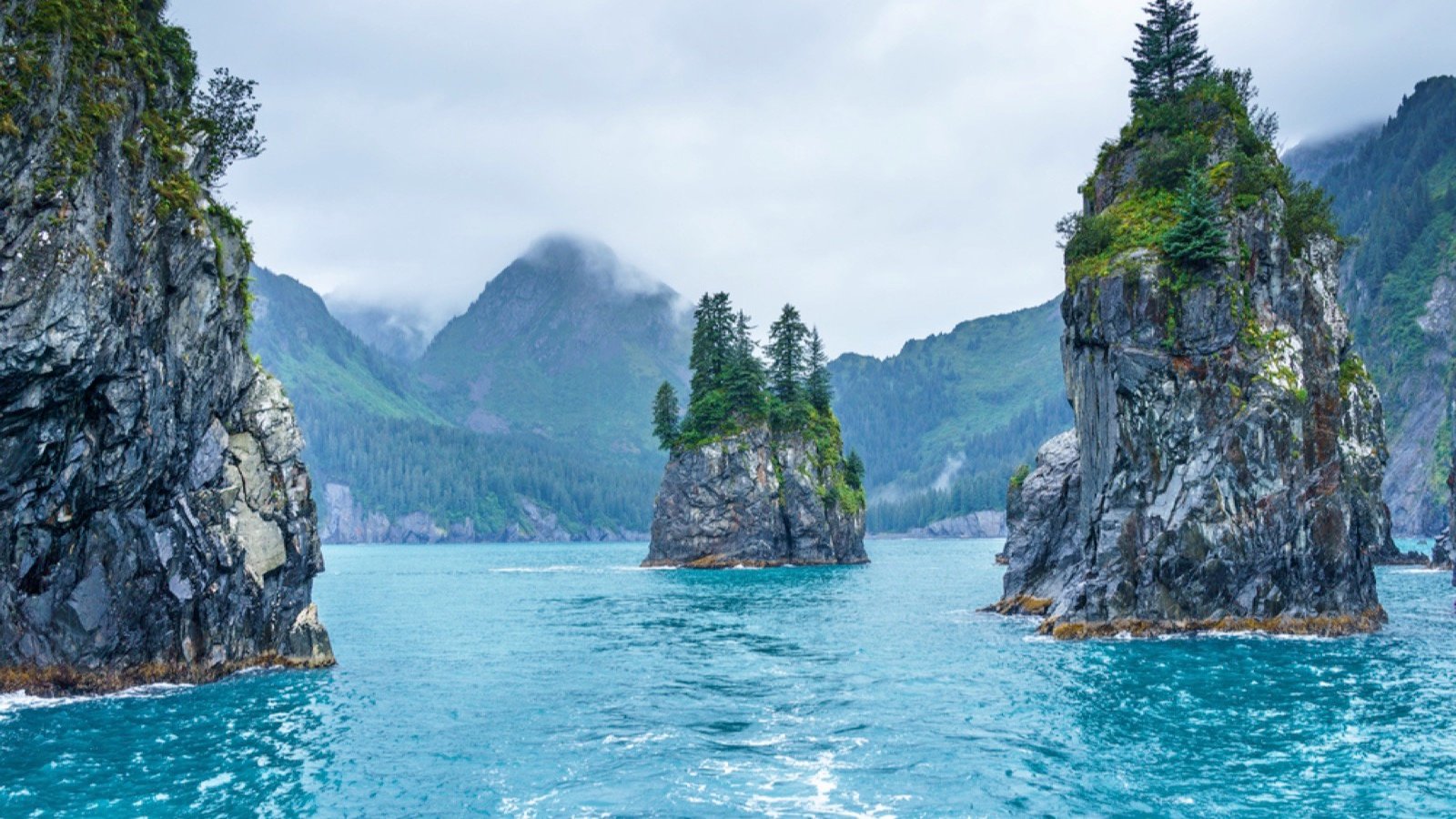 Porcupine bay at Kenai Fjords National Park, Alaska