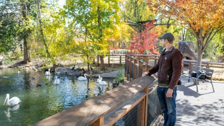 Tracy Aviary, a bird sanctuary in Liberty Park