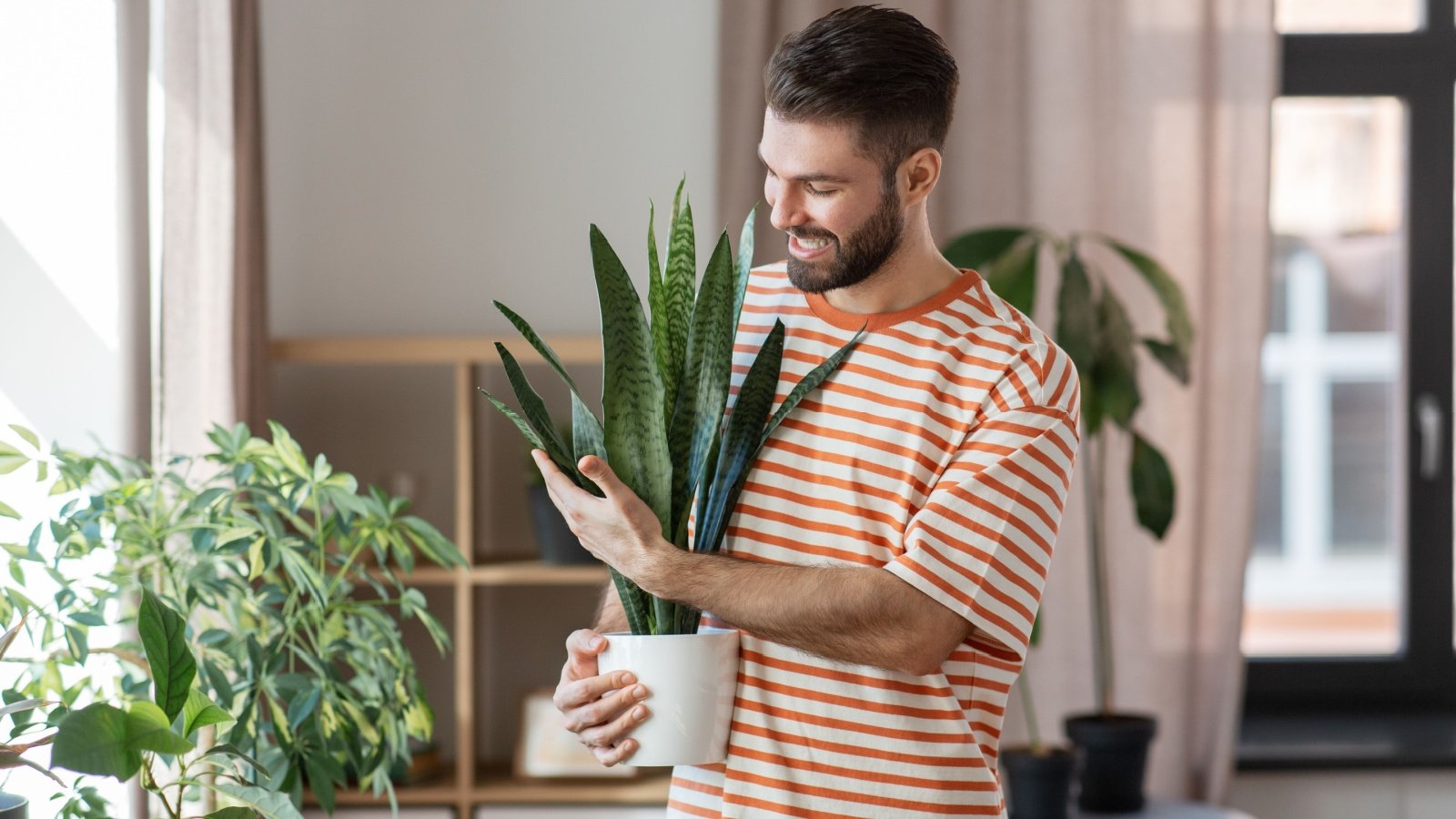15 Simple Care Houseplants That Will Brighten Your Area 15 Simple Care Houseplants That Will Brighten Your Area