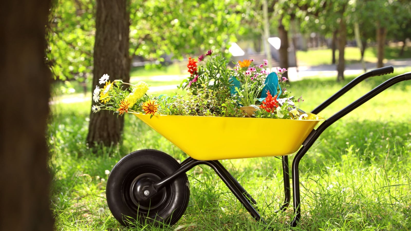 wheelbarrow garden planter painted yellow