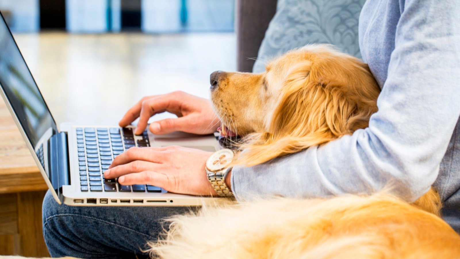 Using laptop for banking