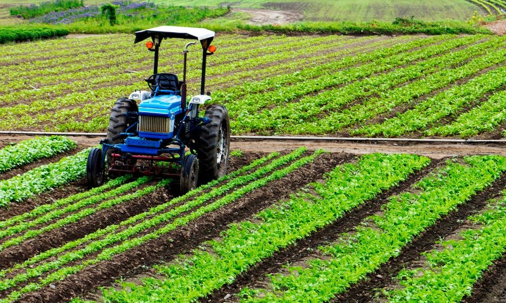 Use Land for Agricultural Purposes