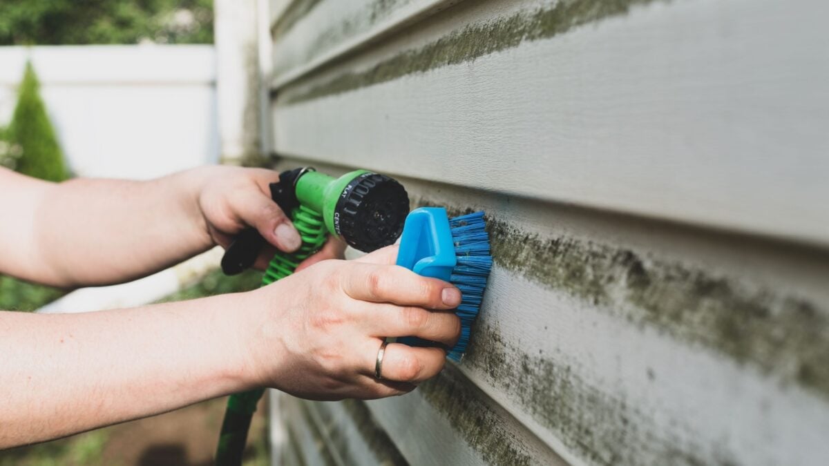 Cleaning algae and mold from vinyl siding of house with pressure spray jet.
