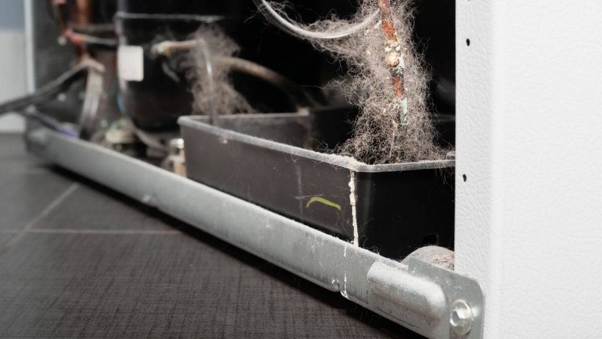 Build up of dirt and hair on the components of refrigerator.