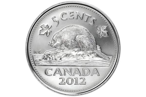 2005-D Speared Bison Jefferson Nickel