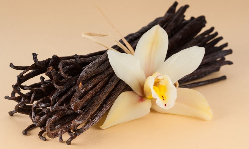 Vanilla