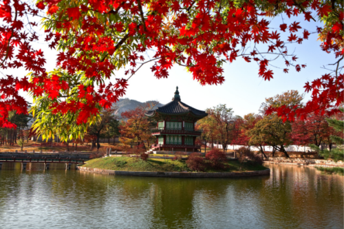 Budget Travel Guide South Korea: Tips for Exploring on a Shoestring Budget