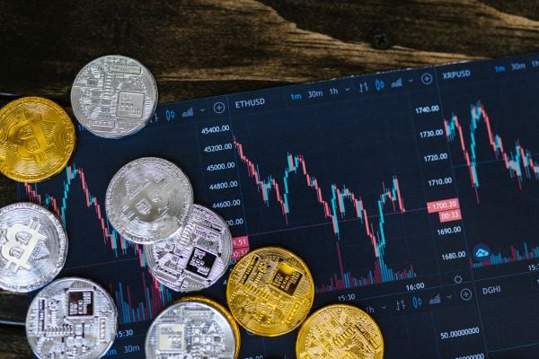 Stock market investing basics