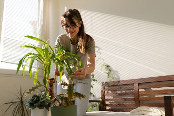 Cultivating Mental and Emotional Well-Being