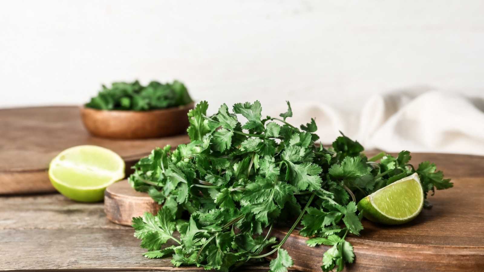 Boards with fresh cilantro and lime on wooden table
