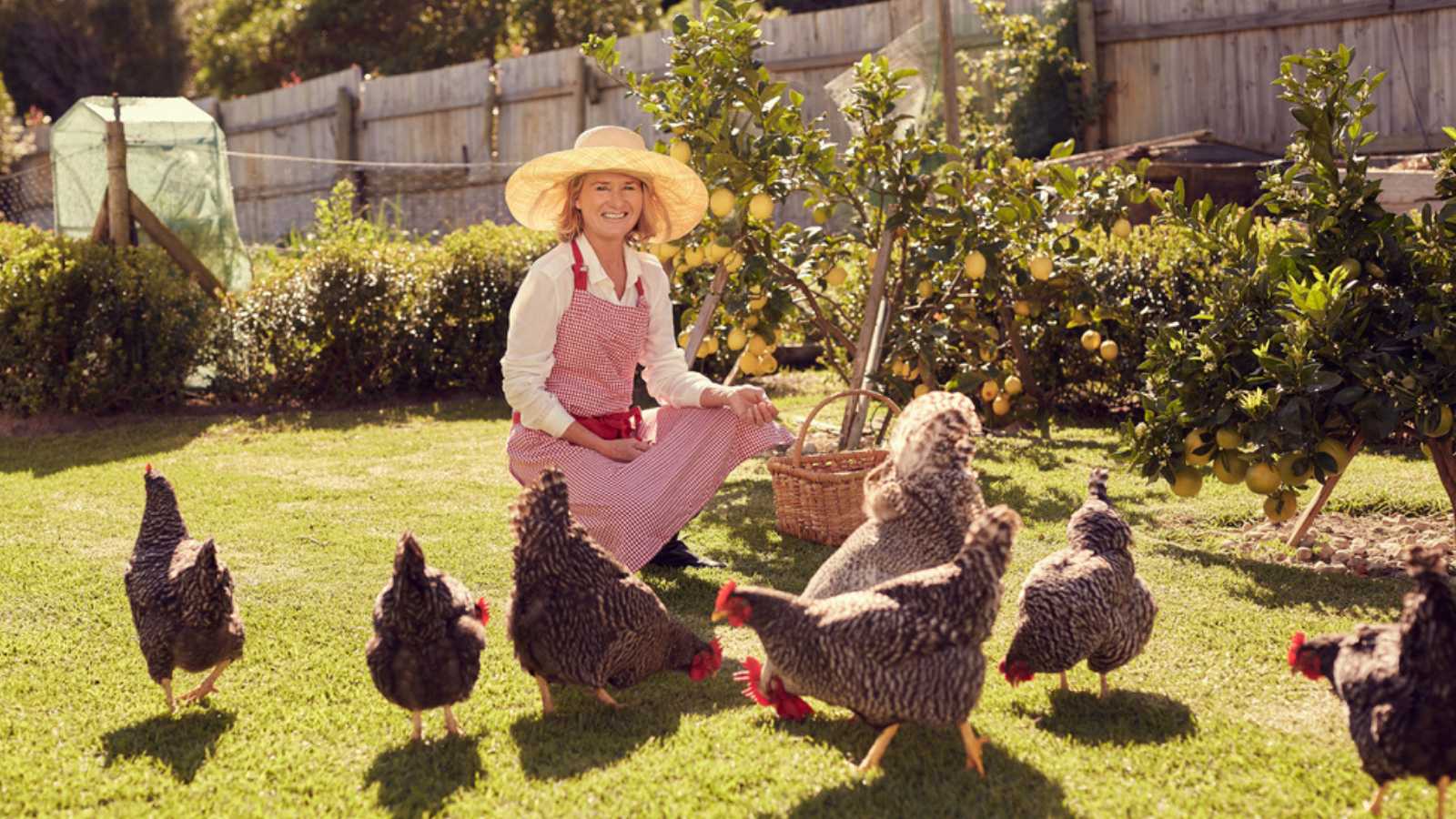 Woman growing chickens
