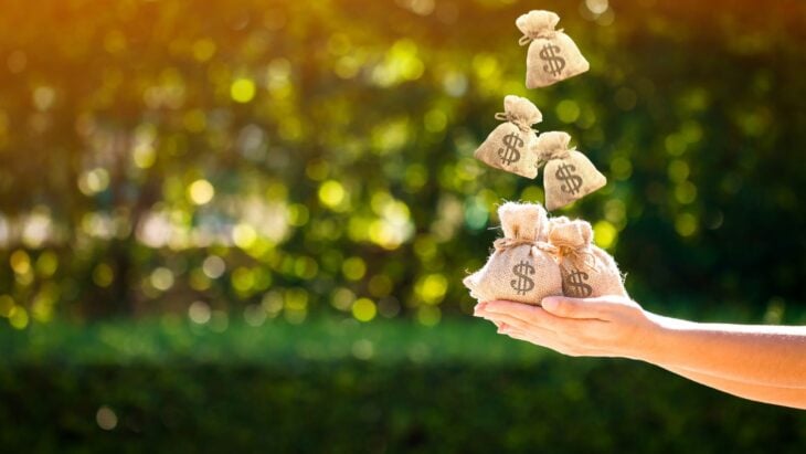 Women hands hold a money bags, accommodation, advertising, agent, aid, alienate, bag, bank, business, buying, charity, credit, deal, development, dollar, donate, dropping, executive, finances, first, give, golden, hand, help, investment, lend, loan, many, money, mortgage, new, owner, ownership, pass, payment, plan, present, property, purchase, real, realty, residential, rich, saving, send, shift, success, tax, transfer, transplantation, voluntary